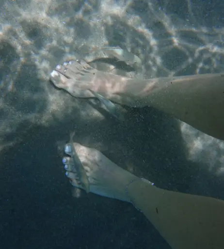 Image 3644947 from thatssoolauren