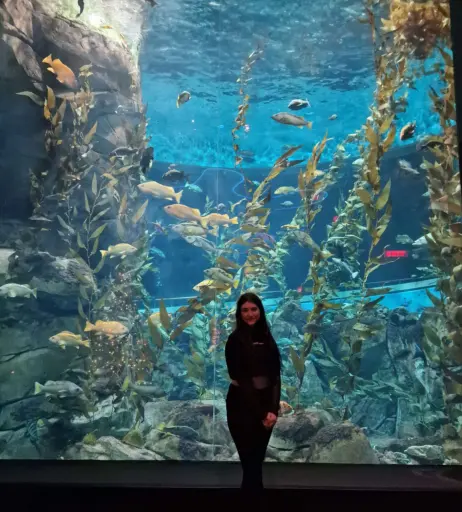 Image 3635454 from Wolfabelle