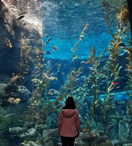 Image 3635434 from Wolfabelle