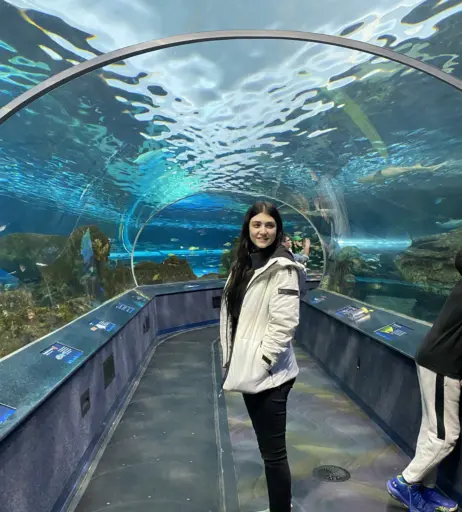 Image 3635782 from Wolfabelle