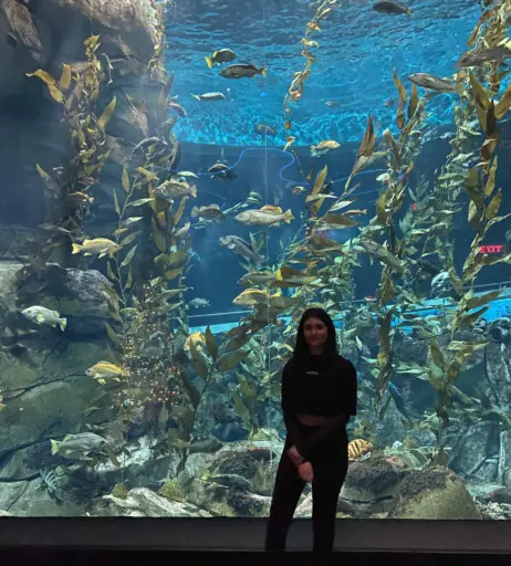 Image 3635700 from Wolfabelle