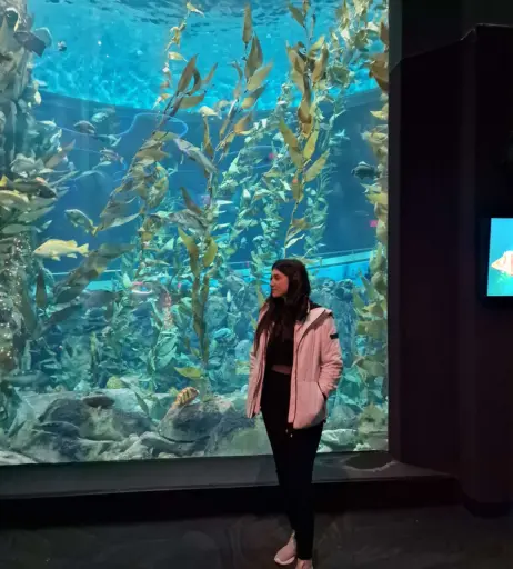 Image 3635376 from Wolfabelle