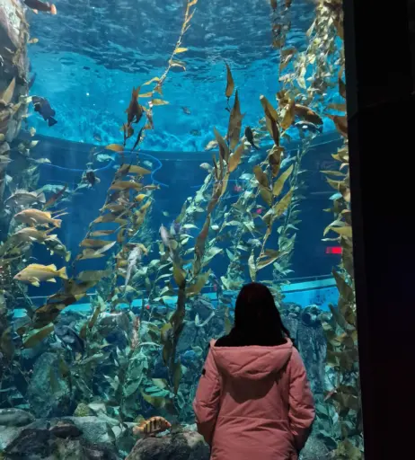 Image 3635274 from Wolfabelle