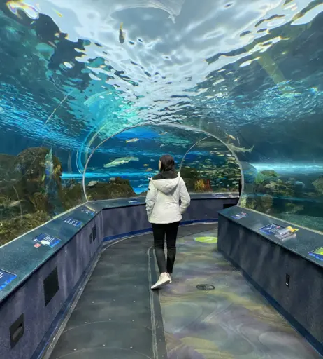 Image 3635900 from Wolfabelle