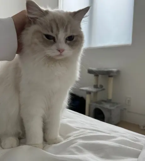 Image 3637750 from Leena (Aileena) Xu