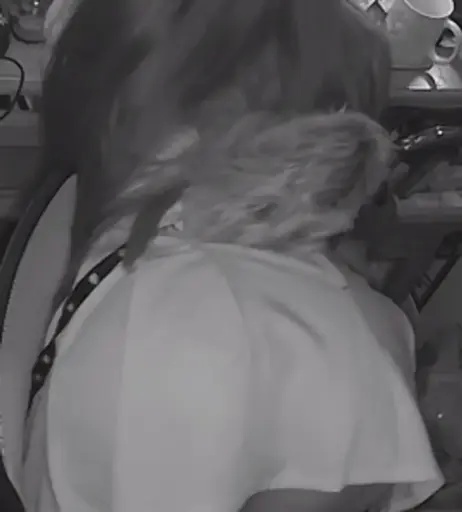 Image 3634590 from Crowpocrypha / Momo / Mina McGoober