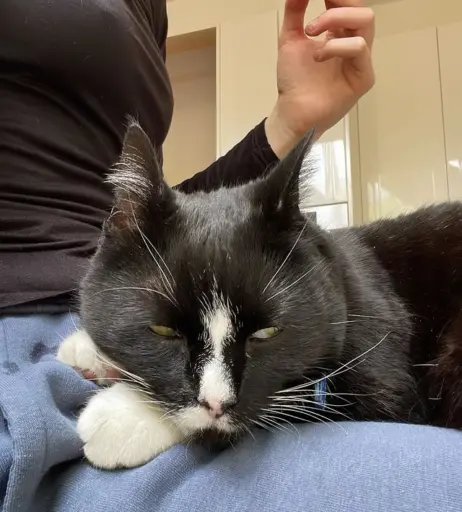 Image 3634246 from Bubbell