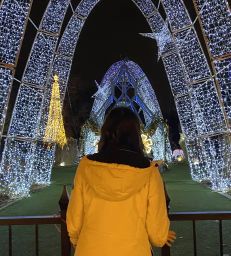 Image 3633866 from Wolfabelle