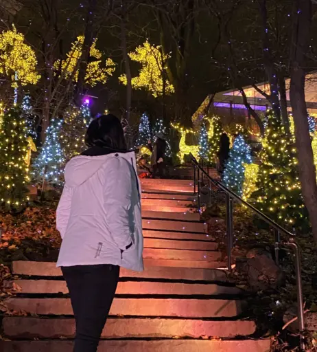 Image 3633815 from Wolfabelle