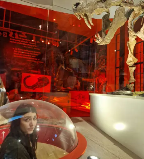 Image 3633702 from Wolfabelle