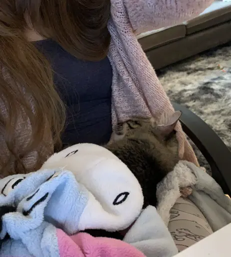 Image 3638279 from Dya Rikku | DyaRikku