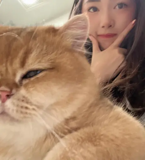 Image 3624439 from xChocobars