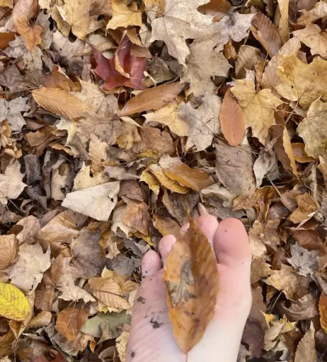 Image 3618617 from Tsuki_Tyann | TsukiTyan