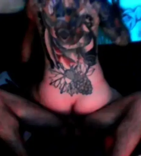 Image 360270 from Katzinger