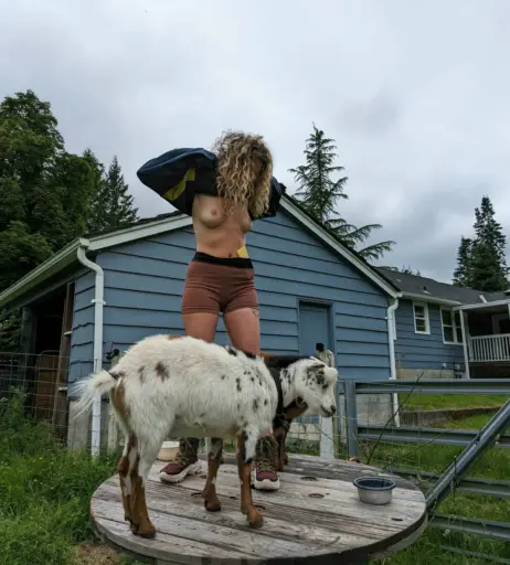 Image 3603559 from wearewildwinter