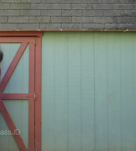 Image 379037 from neversatisfiedxo