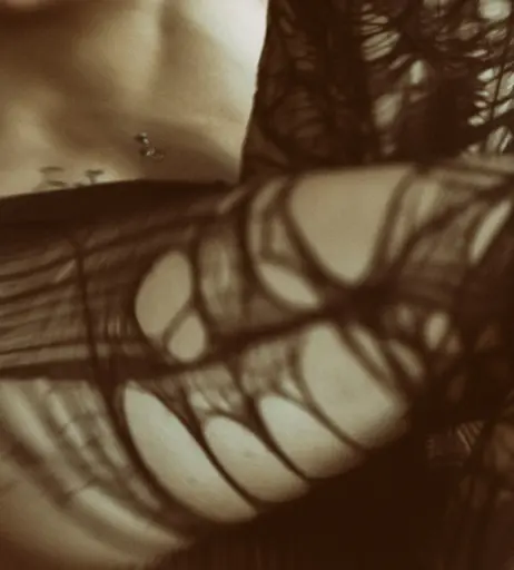 Image 377021 from Piaa.Peach