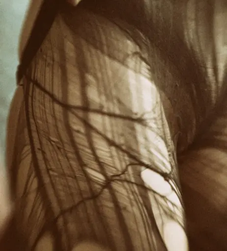 Image 375321 from Piaa.Peach