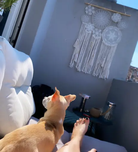 Image 372609 from toxicsugga