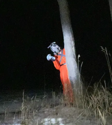 Image 3718340 from bunniicult