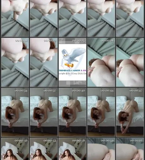 Image 3095188 from Vladislava Shelygina