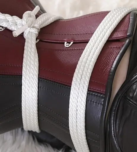 Image 3088288 from Dita von Teese