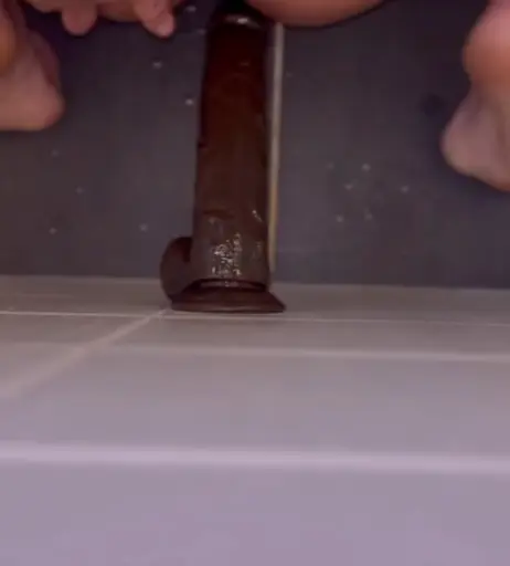 Image 3061591 from 44.pauli