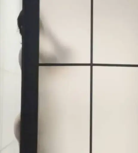 Image 3060292 from Vylerria