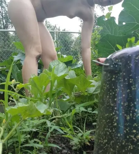 Image 305726 from Misty.wet