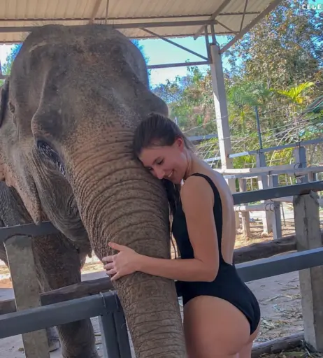 Image 3040888 from s_wtk