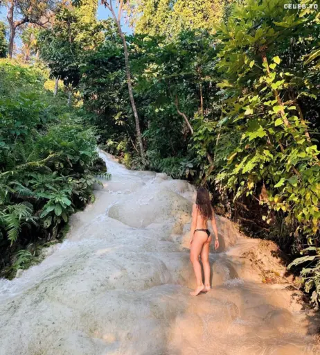 Image 3040824 from aylinkko