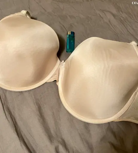 Image 3034347 from Schnataa