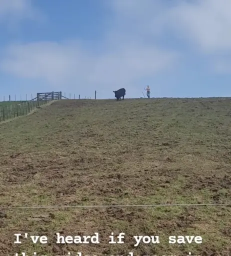 Image 303228 from Lacy Larson