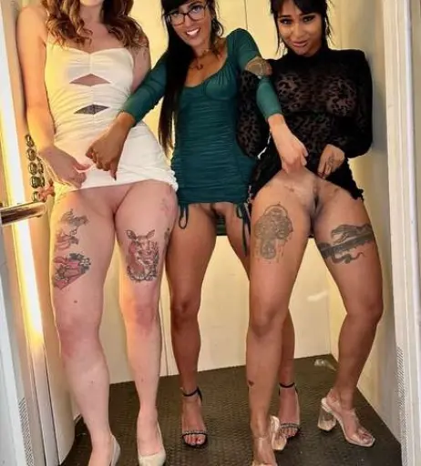 Image 3039459 from Aaliyah Yasin