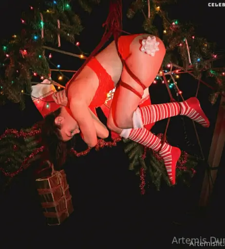 Image 302085 from ArtemisDune