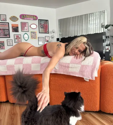 Image 3014156 from Smashedely