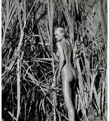 Image 3010187 from Franziska Knuppe