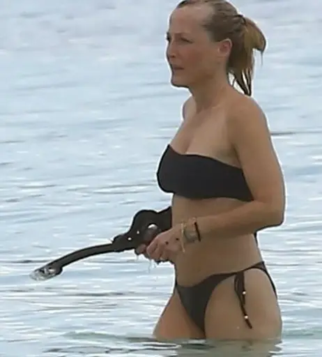 Image 3007962 from Gillian Anderson