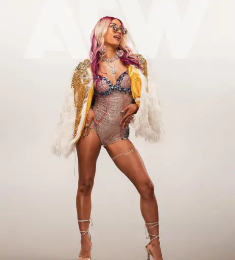 Image 3002400 from Sasha Banks