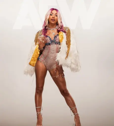 Image 3002360 from Sasha Banks