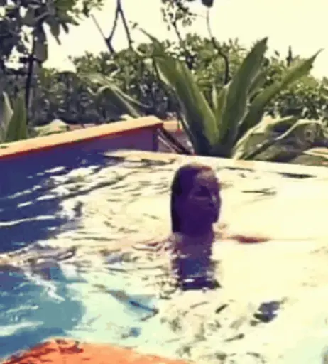 Image 3003153 from Alexandra Kamp