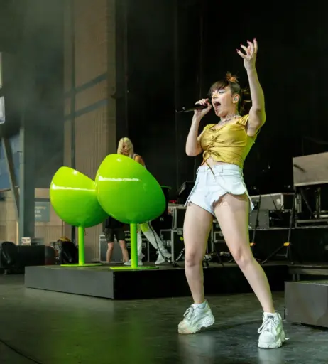 Image 3000520 from Charli XCX