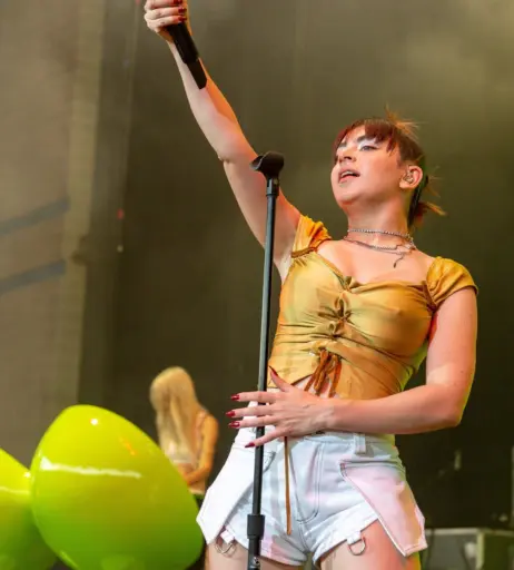 Image 3000619 from Charli XCX