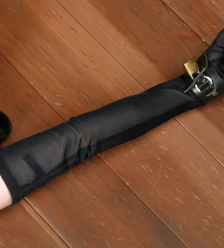 Image 3009778 from Dita von Teese