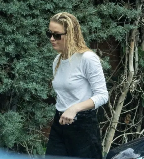 Image 3009349 from Amber Heard