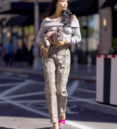 Image 3009373 from Shanina Shaik