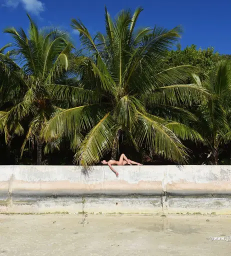 Image 3009295 from Juliane Seyfarth