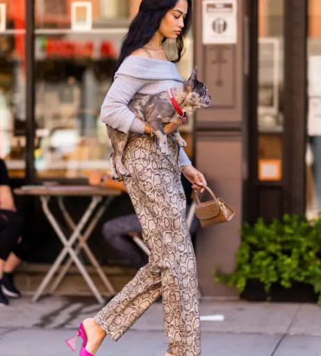 Image 3009213 from Shanina Shaik