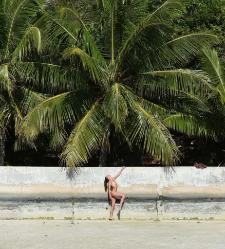 Image 3009207 from Juliane Seyfarth