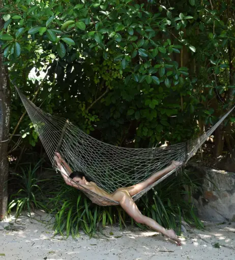 Image 3008821 from Juliane Seyfarth